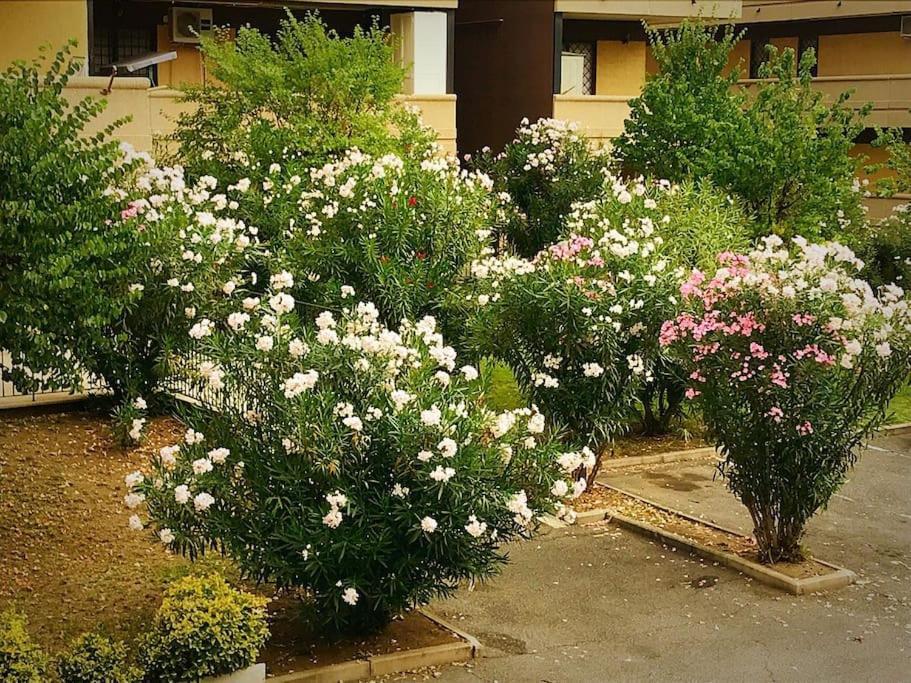 Apartment With Private Parking - Roma Est. Lunghezza Exterior foto